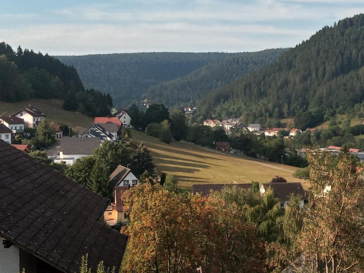 Apartmán Waldblick Baiersbronn Exteriér fotografie